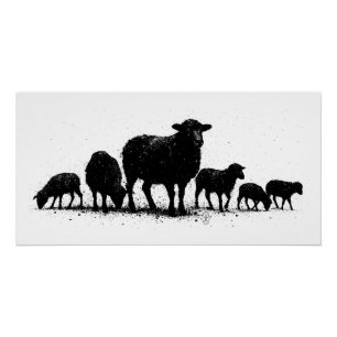 Orkney-Schafe — Tinten-Silhouette-Herde Poster