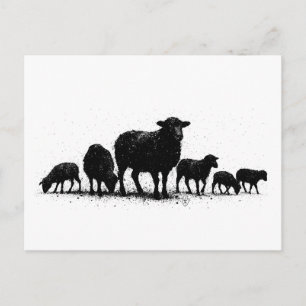 Orkney-Schafe — Tinten-Silhouette-Herde Postkarte
