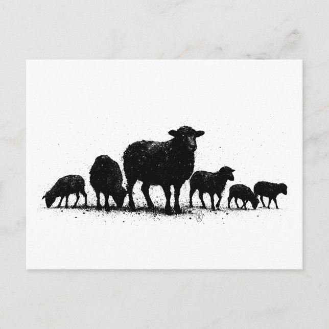 Orkney-Schafe — Tinten-Silhouette-Herde Postkarte (Vorderseite)