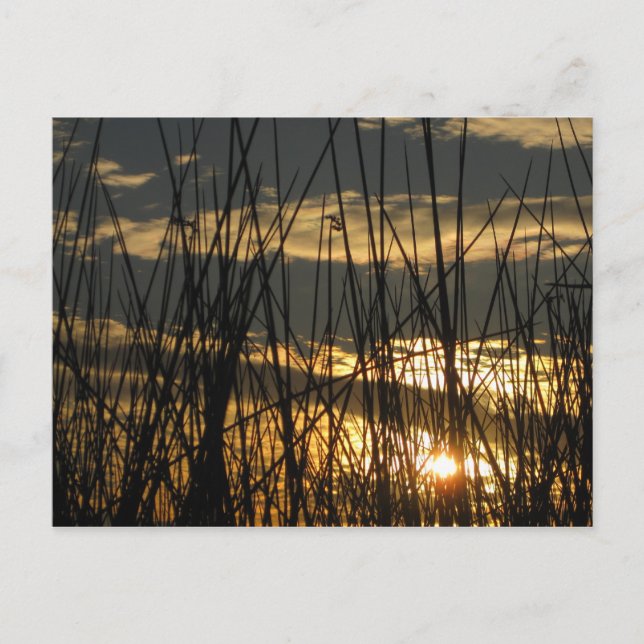 Orlando Sunset Postkarte (Vorderseite)