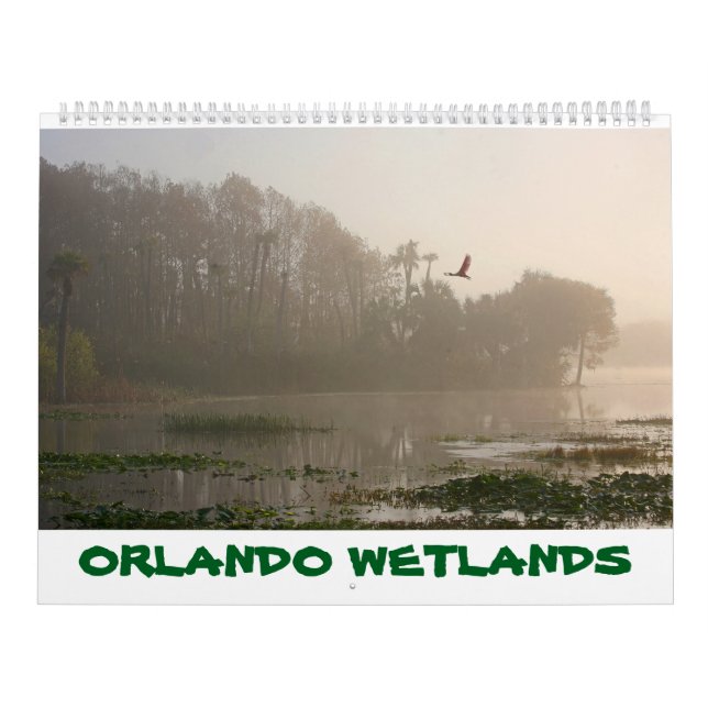 ORLANDO WETLANDS CALENDAR KALENDER (Titelbild)