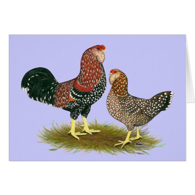Orloff: Spangled Pair (Vorderseite (Horizontal))