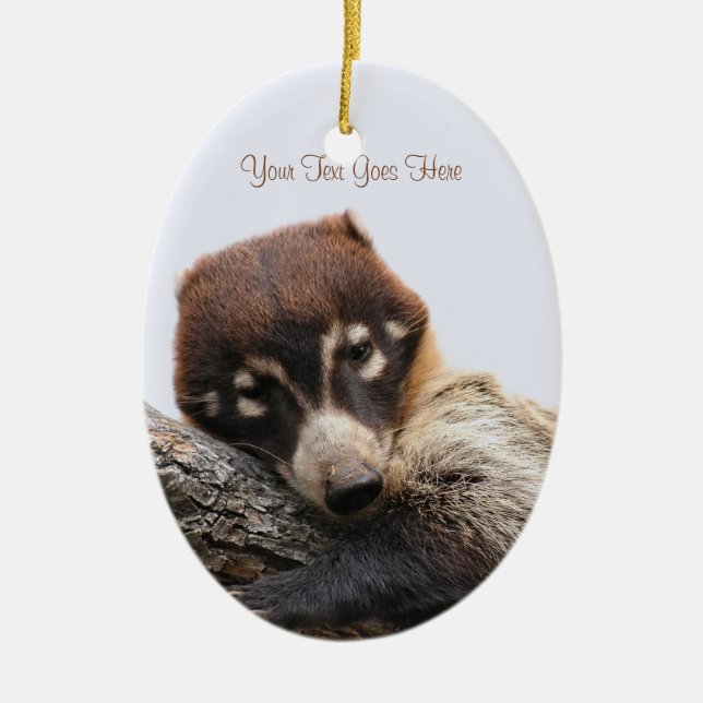 Ornament: Coatimundi #4 (Oval) Keramikornament (Vorne)