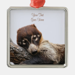Ornament: Coatimundi #4 (Premium Square) Ornament Aus Metall