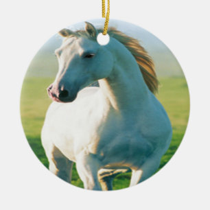 Ornament des Weißen Pferdes
