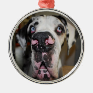 Ornament-Hunde Ornament Aus Metall