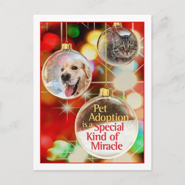 Ornament Postkarte (Vorderseite)