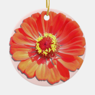 Ornament - Rotes Zinnia
