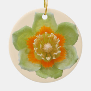 Ornament - Tulip Poplar Tulip auf Cream