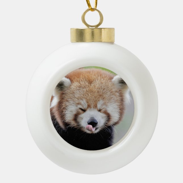 Ornament. Weihnachten, roter Panda. Panda roux. Keramik Kugel-Ornament (Vorderseite)