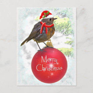 Ornamental Robin Postcard Postkarte