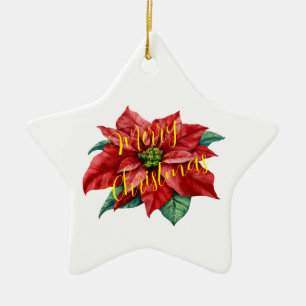 OrnamentKeramik, Star-Ornament, Feiertagssjubeln, Keramik Ornament