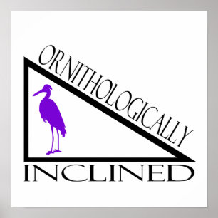 ornithologisch infiziert poster