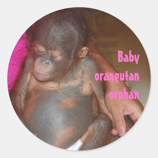 Orphan Baby Animals Orangutan Runder Aufkleber (Vorderseite)