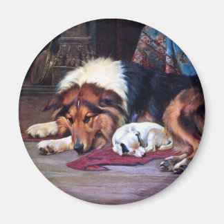 Orphan Dog Collie Vintage Kunst Magnet