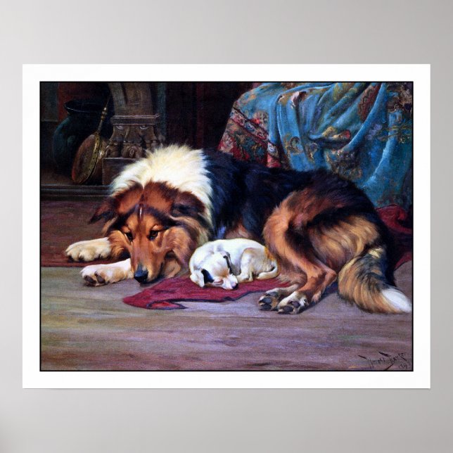 Orphan Puppy und Collie - von Wright Barker Poster (Vorne)