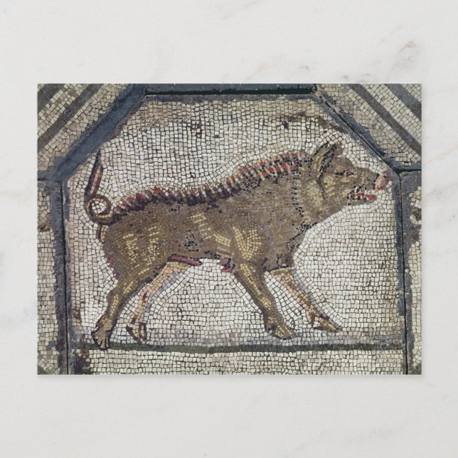 Orpheus bezaubert die Tiere Postkarte (Vorderseite)