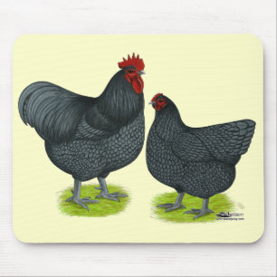 Orpington: Blue Pair Mousepad