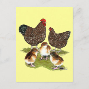 Orpington Jubiläums-Hühnersippe Postkarte