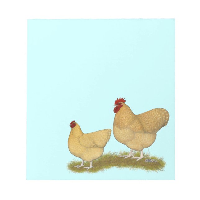Orpingtons Lemon Cuckoo Notizblock (Vorderseite)