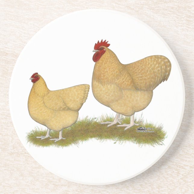 Orpingtons Lemon Cuckoo Untersetzer (Vorne)