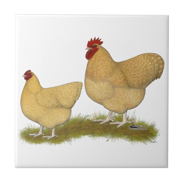 Orpingtons Zitronen-Kuckuck Fliese (Vorderseite)