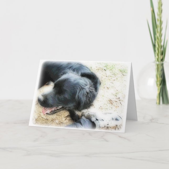 Orton Smokey und Matte Karte (Vorderseite)