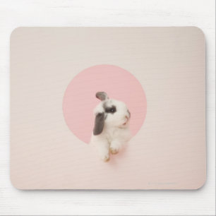 Oryctolagus Cuniculus Mousepad