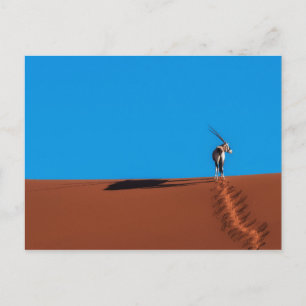 Oryx Antelope in der Namib-Wüste Postkarte
