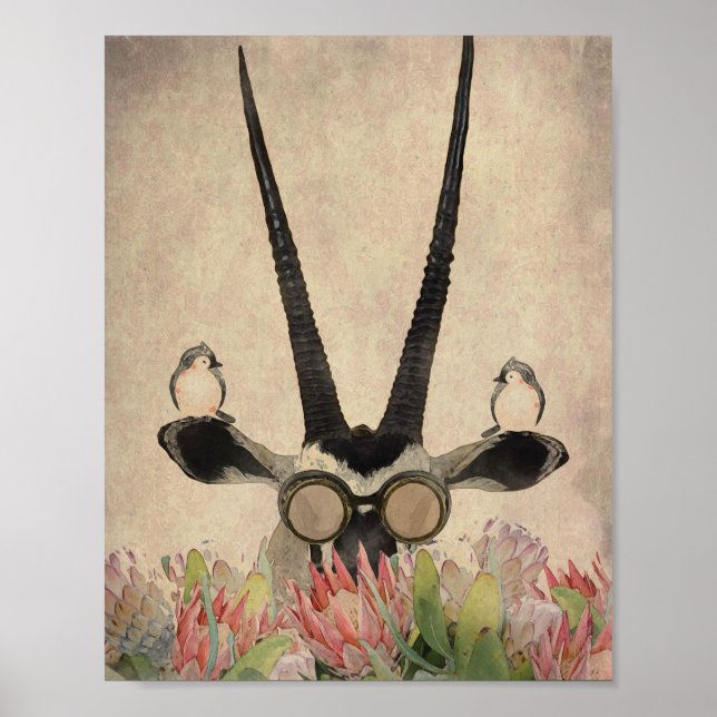 Oryx hinter Protea Blume Poster (Vorne)