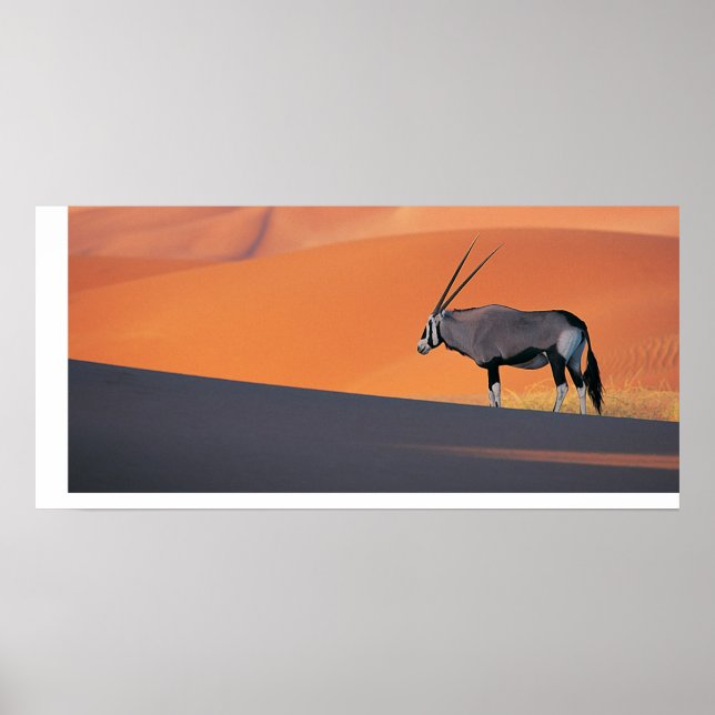 Oryx Poster (Vorne)