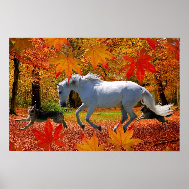 OSADAs FALL FUN Poster (Vorne)