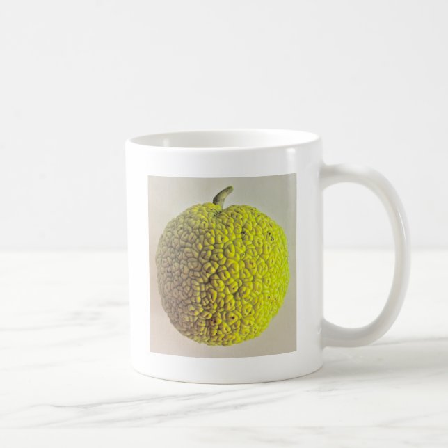 Osage-Orange Tasse (Rechts)