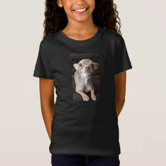Oscar der blaue Chihuahua-T - Shirt/-sweatshirt T-Shirt