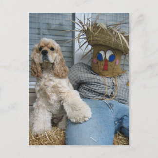 Oscar und Phil Postkarte