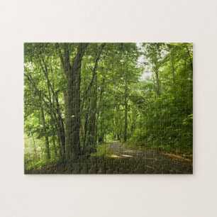 Osceola Island, Weir - Dam Bristol TN Puzzle