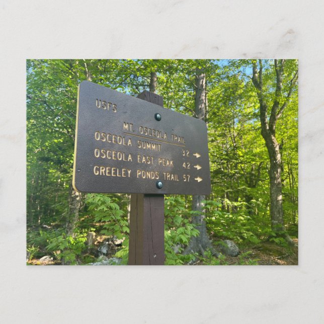 Osceola und Osceola Postkarte (Vorderseite)
