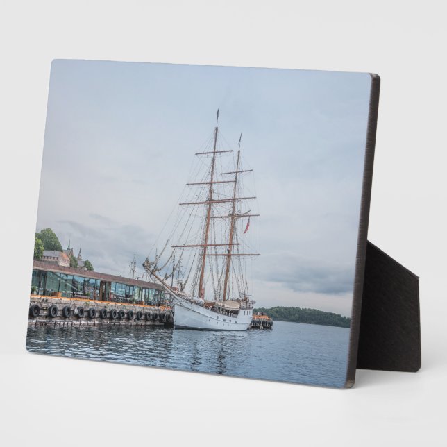 Oslo Norwegen Fotoplatte (Seite)