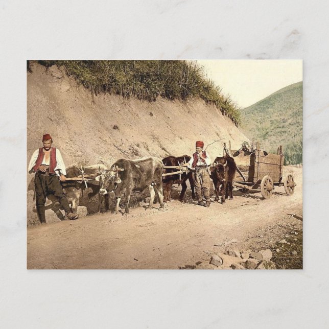 Osmanisches Reich Postkarte (Vorderseite)