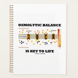 Osmolytische Balance ist der Schlüssel zur Lebensd Planer