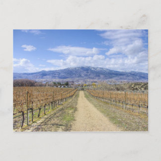 Osoyoos Aussicht Weingarten Postkarte