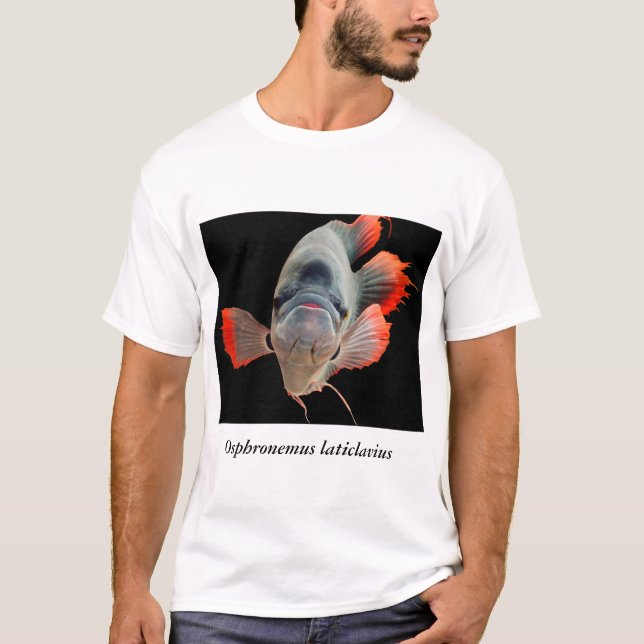 Osphronemus laticlavius T-Shirt (Vorderseite)