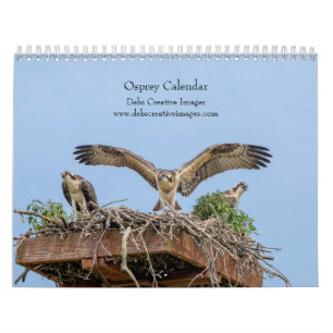 Osprey 2026 kalender