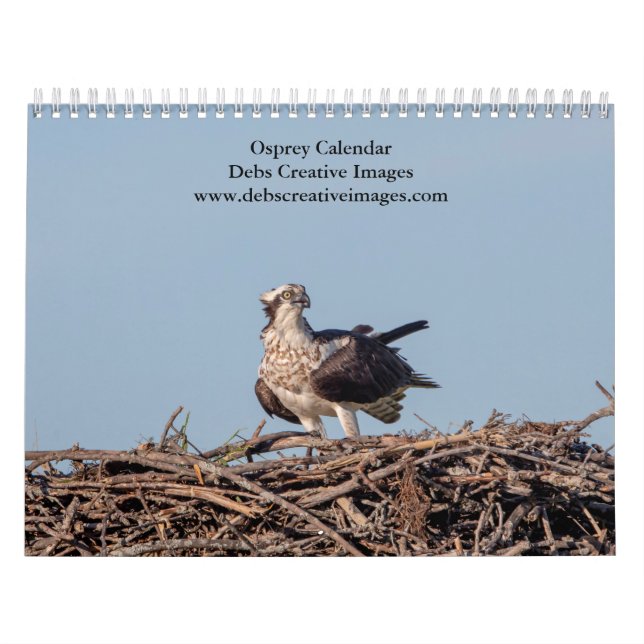 Osprey 2026 kalender (Titelbild)