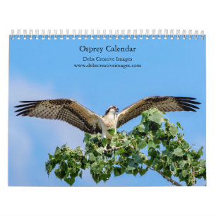 Osprey 2026 Kalender – Majestätische Greifvogel-Fo