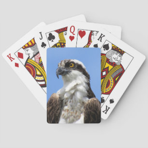 Osprey (4964) Spielkarten