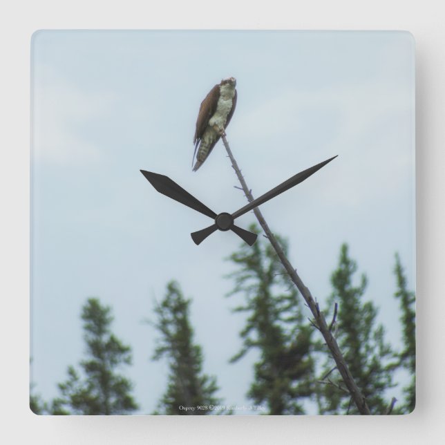 Osprey 9028 quadratische wanduhr (Vorderseite)