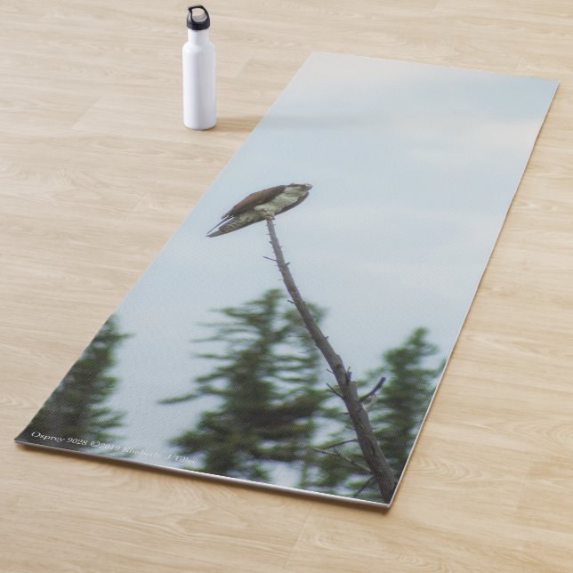 Osprey 9028 yogamatte (Beispiel)