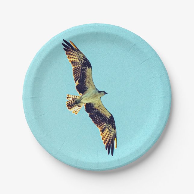 Osprey Art Pappteller (Vorderseite)