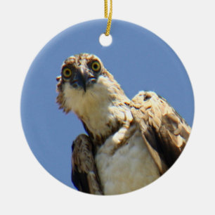 Osprey-Aufpassen Keramikornament